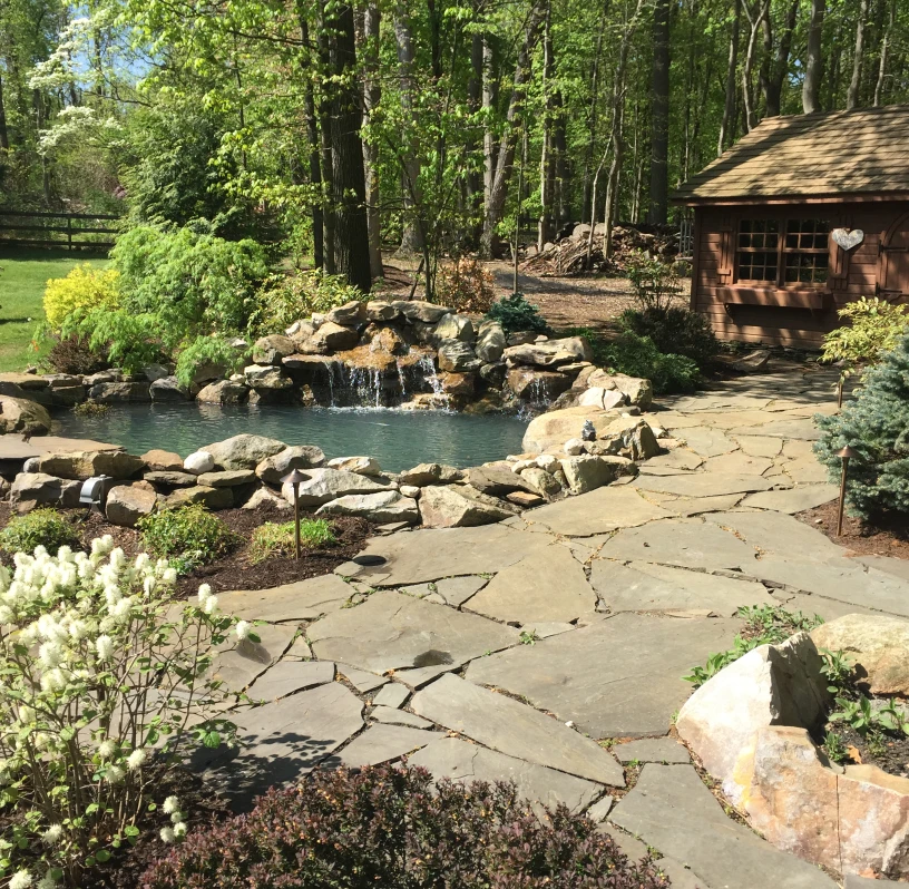 Lush garden with small pond and trees